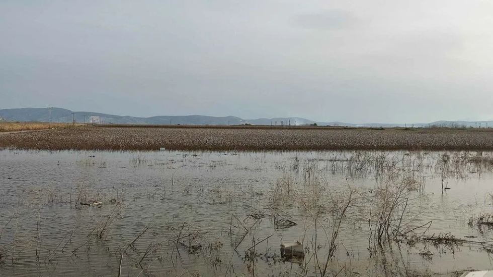 Πλημμυρισμένα χωράφια στη Λάρισα